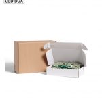 Custom-Kraft-boxes-with-window-cbd-box-factory.jpg