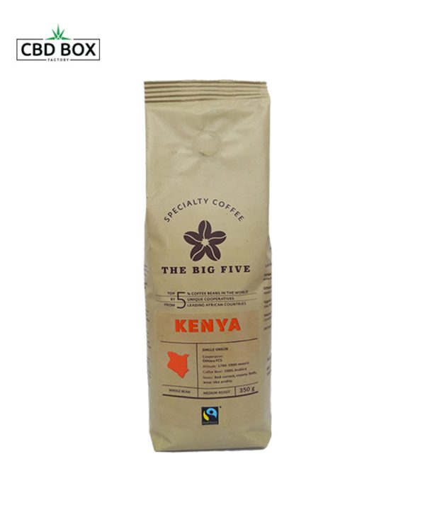 Custom Paper Bag With Handles | Wholesale Wrapping Paper Bags | Paper Bag Supplier
